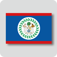 ベリーズの国旗（ノーマルバージョン）