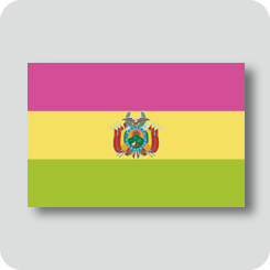 ボリビアの国旗（カワイイバージョン）