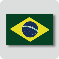 ブラジルの国旗（ノーマルバージョン）