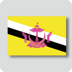ブルネイの国旗（ノーマルバージョン）