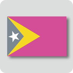 東ティモールの国旗（カワイイバージョン）
