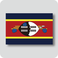 eswatini-world-flag-normal-version