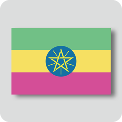エチオピアの国旗（カワイイバージョン）