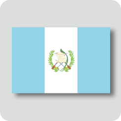グアテマラの国旗（カワイイバージョン）