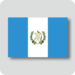 グアテマラの国旗（ノーマルバージョン）