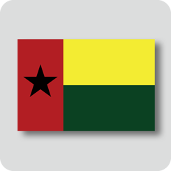 ギニアビサウの国旗（ノーマルバージョン）