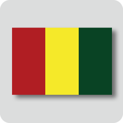 ギニアの国旗（ノーマルバージョン）