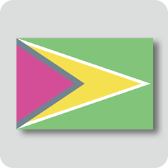 ガイアナの国旗（カワイイバージョン）