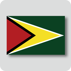 ガイアナの国旗（ノーマルバージョン）