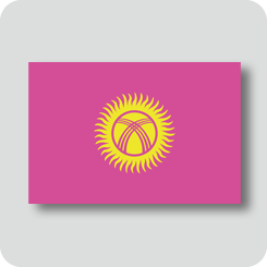 キルギスの国旗（カワイイバージョン）