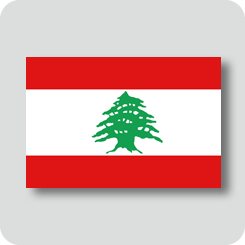 レバノンの国旗（ノーマルバージョン）