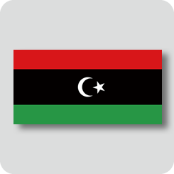 リビアの国旗（ノーマルバージョン）