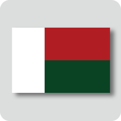 マダガスカルの国旗（ノーマルバージョン）