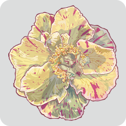 marble-camellia-1-yellow-with-outline