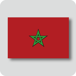 モロッコの国旗（ノーマルバージョン）