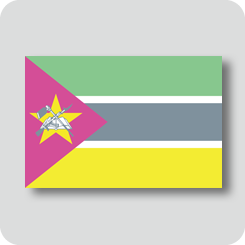 モザンビークの国旗（カワイイバージョン）