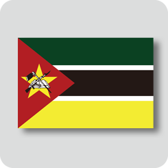 モザンビークの国旗（ノーマルバージョン）