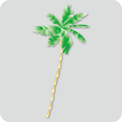 palm-trees2