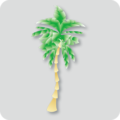 palm-trees5
