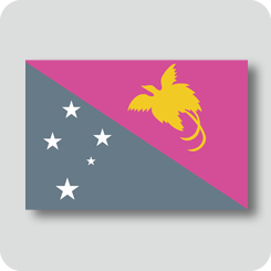パプアニューギニアの国旗（カワイイバージョン）