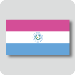 パラグアイの国旗（カワイイバージョン）