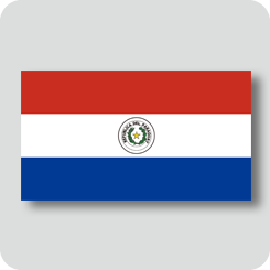 パラグアイの国旗（ノーマルバージョン）