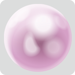 pearl-round-pink