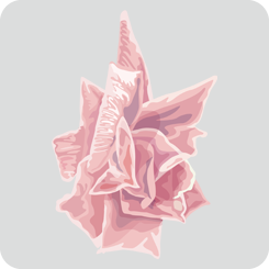 rose1-no-outline-pink