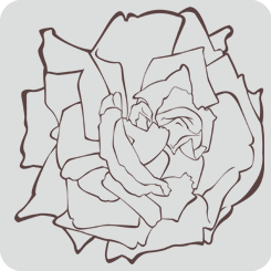 rose2-outline-only