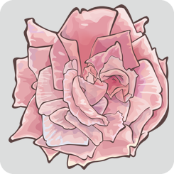 rose2-with-outline-pink