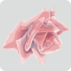 rose3-no-outline-pink