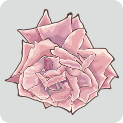 rose4-with-outline-pink