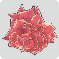 rose4-with-outline-red
