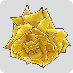 rose4-with-outline-yellow