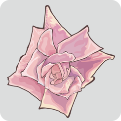 rose5-with-outline-pink