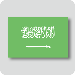 サウジアラビアの国旗（カワイイバージョン）