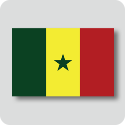 セネガルの国旗（ノーマルバージョン）