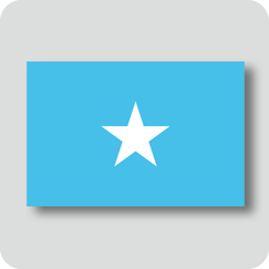 ソマリアの国旗（カワイイバージョン）