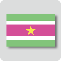 スリナムの国旗（カワイイバージョン）