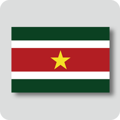スリナムの国旗（ノーマルバージョン）