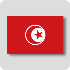 チュニジアの国旗（ノーマルバージョン）