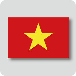 ベトナムの国旗（ノーマルバージョン）